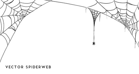 Wall Mural - halloween spider web and spiders isolated on white background