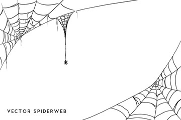 Wall Mural - halloween spider web and spiders isolated on white background