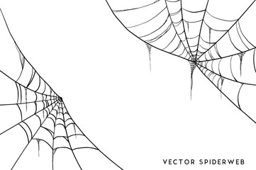 Wall Mural - halloween spider web and spiders isolated on white background