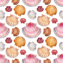 Seashell Seamless Pattern On Isolated White Background, Watercolor Illustration
