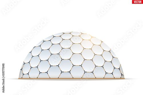 Cuadros en Lienzo Geodesic dome of hexagon honeycombs form