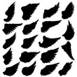 Big set of silhouettes of wings on white background. Design element for logo, label, badge, sign. Vector illustration