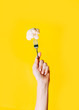 Female hand holding fork and cauliflower on it on yellow background.