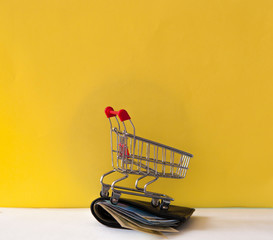 Wall Mural - Wallet with money, shopping cart on colorful background. Space for text.