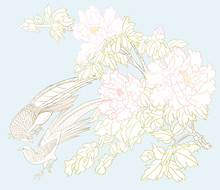 Peony Tree Branch With Flowers With Pheasants In The Style Of Chinese Painting On Silk Set Of Elements For Design Colored Vector Illustration. Outline Hand Drawing Vector Illustration..