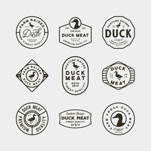 Set Of Premium Fresh Duck Meat Labels. Vector Illustration