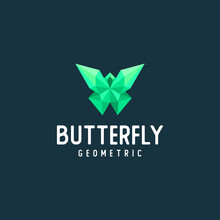 Geometric Butterfly Gradient Logo Vector