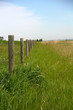 Fence posts in a field 