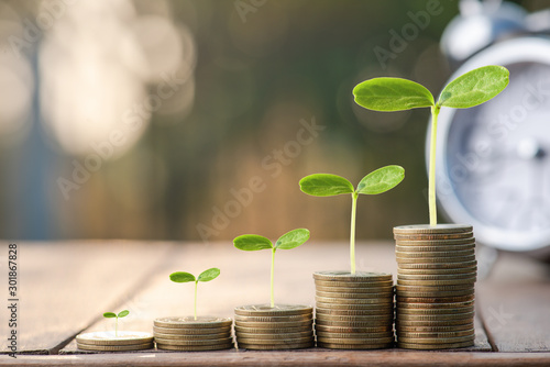 Fotografía Money coin stack growing graph with sun light bokeh background,investment concept