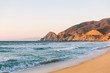 © Elena - View north along California highway one at Montara beach with Pacific ocean in golden hour sunset light
