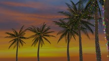 Palm Trees Decorated With Christmas Lights At Sunset #1 - 3d Rendering