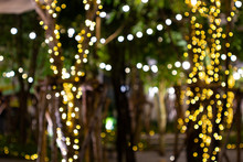 Blur - Bokeh Decorative Outdoor String Lights Hanging On Tree In The Garden At Night Time - Decorative Christmas Lights - Happy New Year