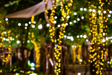 Blur - bokeh Decorative outdoor string lights hanging on tree in the garden at night time - decorative christmas lights - happy new year