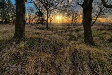 Poster - Low angle shot of the sun rising over an autumn field