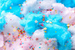 Tasty cotton candy with sprinkles, closeup