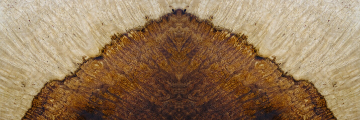 Wall Mural - Nature walnut burl wood striped