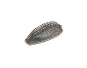 Sunflower seed in shell