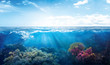 background of beautiful coral reef with marine tropical fish visited here