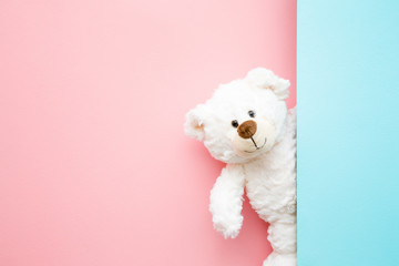 smiling white teddy bear looking behind pastel blue wall. mock up for happy, positive idea. empty pl