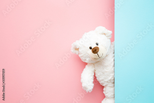 Fotomural Smiling white teddy bear looking behind pastel blue wall