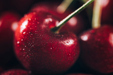 Wall Mural - Cherries Macro Close Up