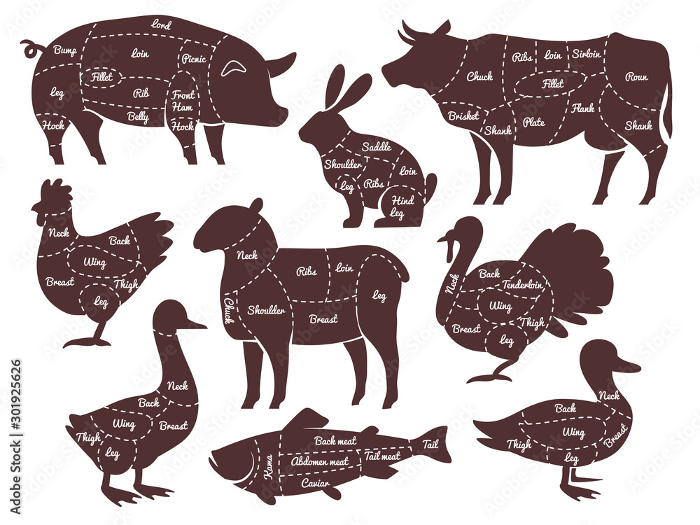 Butcher diagrams. Cutting lines different parts domestic farm animals ...