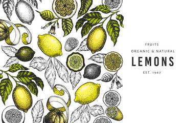 Lemon tree design template. Hand drawn vector fruit illustration. Engraved style banner. Vintage citrus background.