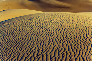 Wall Mural -  The gentle slopes of the sand dunes