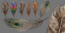 Realistic Set With Small And Big Multicolored Bird Feathers Isolated On Transparent Background Vector Illustration. Peacock Feather