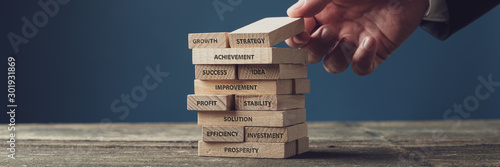 Cuadros en Lienzo Business vision and development concept