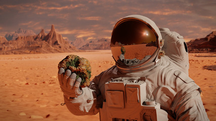 life on planet mars, astronaut discovers bacterial life on the surface of a rock
