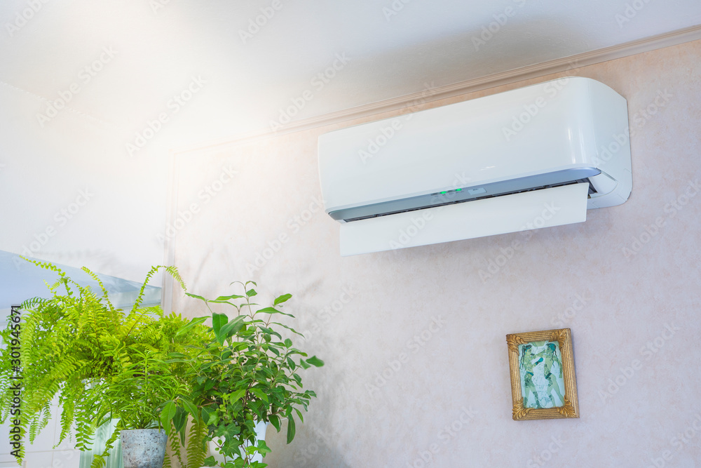 Plakat W Ramie エアコンと観葉植物 Klimatyzator Chlodnica Klimatyzacja Fototapety Foteks