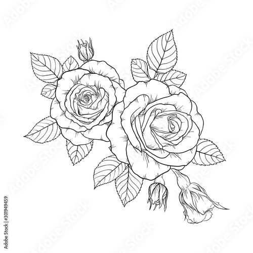 Beautiful Black And White Bouquet Rose And Leaves Floral Arrangement Isolated On Background Design Greeting Card And Invitation Of The Wedding Birthday Valentine S Day Mother S Day Holiday Buy This