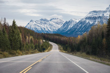 Scenic Road Trip With Rocky Mountain In Autumn Forest At Icefields Parkway
