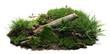 Leinwandbild Motiv Green moss on soil, dirt pile with tree branches and grass isolated on white background