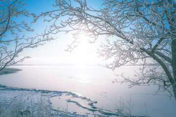 Wall Mural - Cold winter day landscape with snowy trees. Photo from Sotkamo, Finland.