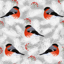 Seamless Pattern With Bullfinches, Rowan Berries And Fir Branches. Vector Illustration