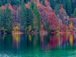 Reflection of autumn foliage along the shore of Lake Tovel, Trentino Alto Adige