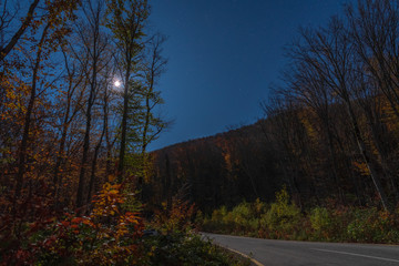 Wall Mural - asphalt road in the autumn forest on a moonlit night