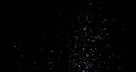 Wall Mural - falling real snowflakes, heavy snow, shot on a black background, frosted, wide-angle, insulated, ide