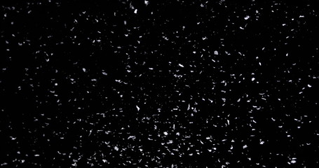 Wall Mural - falling real snowflakes, heavy snow, shot on a black background, frosted, wide-angle, insulated, ide