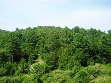 Panorama Of Lush Green Vegetation On The Outskirts Of The Village At The Foot Of A Mountain Ridge Against The Backdrop Of A Morning Barely Cloudy Blue Sky.