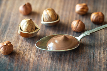 Canvas Print - Spoon of chocolate paste with hazelnuts