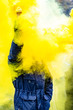 Protester with a torch and yellow smoke - 1/6