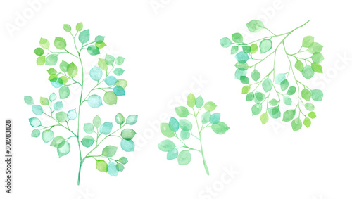 木漏れ日 枝葉のセット 水彩イラストのトレースベクター Stock Vector Adobe Stock