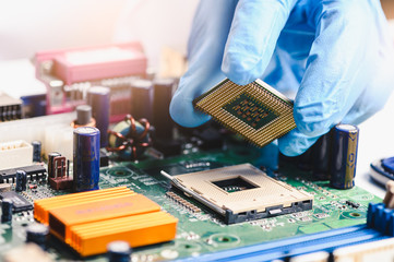 Wall Mural - The technician is laying a CPU on the socket of the computer motherboard. the concept of computer, service, electronics, hardware, repairing, upgrade and technology.