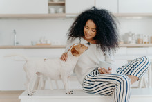 Delighted Curly Woman With Cheerful Expression Poses With Jack Russell Terrier Dog At Home, Drinks Aromatic Beverage, Dressed In White Sweater And Striped Pants, Sit In Kitchen. Lady Petting Puppy