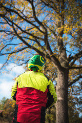 Wall Mural - Arborist man preparing for climbing on a tree. The worker with helmet working at height on the trees. Lumberjack working with chainsaw during a nice sunny day. Tree and nature 