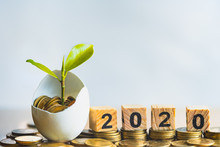 Wood Block Word 2020, Hatched Egg And Coins With Small Plant Tree, Strategies Investment And Plan For Passive Income. Risk Management For Business Growth. Manage Money For Retirement And Pension.