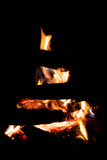 Fototapeta  - Fire in fireplace